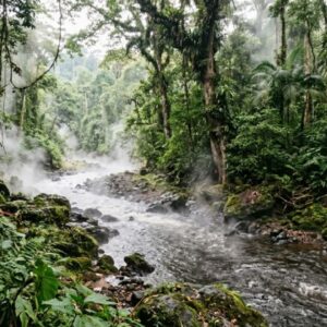 Rio Fervente da Amazônia: Segredos Aquecidos a Quase 100°C Rio Fervente da Amazônia: Segredos Aquecidos a Quase 100°C