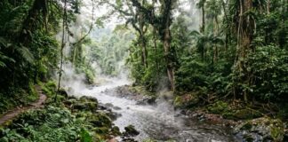 Rio Fervente da Amazônia: Segredos Aquecidos a Quase 100°C Rio Fervente da Amazônia: Segredos Aquecidos a Quase 100°C