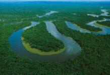 Seca na Amazônia: Estudo Preocupa com Recuperação Lenta e Novos Riscos Seca na Amazônia: Estudo Preocupa com Recuperação Lenta e Novos Riscos