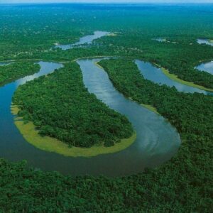 Seca na Amazônia: Estudo Preocupa com Recuperação Lenta e Novos Riscos Seca na Amazônia: Estudo Preocupa com Recuperação Lenta e Novos Riscos