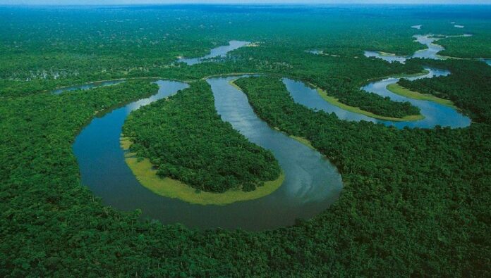 Seca na Amazônia: Estudo Preocupa com Recuperação Lenta e Novos Riscos Seca na Amazônia: Estudo Preocupa com Recuperação Lenta e Novos Riscos