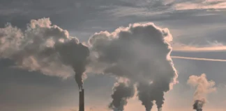 Financiamento Climático Bate Recorde em 2025, mas Banco Mundial Recua Financiamento Climático Bate Recorde em 2025, mas Banco Mundial Recua