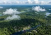 Comissão Europeia Reforça Amazônia em Nova Agenda Global Comissão Europeia Reforça Amazônia em Nova Agenda Global