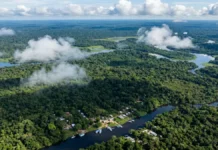 Comissão Europeia Reforça Amazônia em Nova Agenda Global Comissão Europeia Reforça Amazônia em Nova Agenda Global