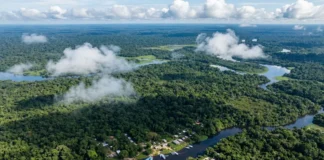 Comissão Europeia Reforça Amazônia em Nova Agenda Global Comissão Europeia Reforça Amazônia em Nova Agenda Global
