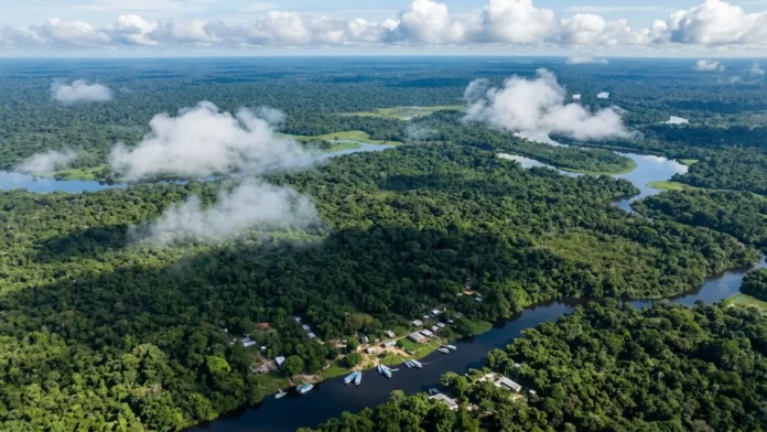 Comissão Europeia Reforça Amazônia em Nova Agenda Global Comissão Europeia Reforça Amazônia em Nova Agenda Global