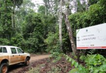 Brasil define diretrizes para créditos de carbono em terras públicas Brasil define diretrizes para créditos de carbono em terras públicas