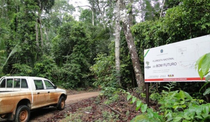 Brasil define diretrizes para créditos de carbono em terras públicas Brasil define diretrizes para créditos de carbono em terras públicas