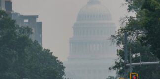 Trump Ameaça Canadá com Novas Tarifas por Fumaça de Incêndios Trump Ameaça Canadá com Novas Tarifas por Fumaça de Incêndios