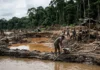 Devastação na Amazônia: A Guerra do Brasil Contra o Garimpo Ilegal Devastação na Amazônia: A Guerra do Brasil Contra o Garimpo Ilegal