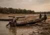 Secas de 2023-2024 na Amazônia causam danos inéditos à floresta Secas de 2023-2024 na Amazônia causam danos inéditos à floresta