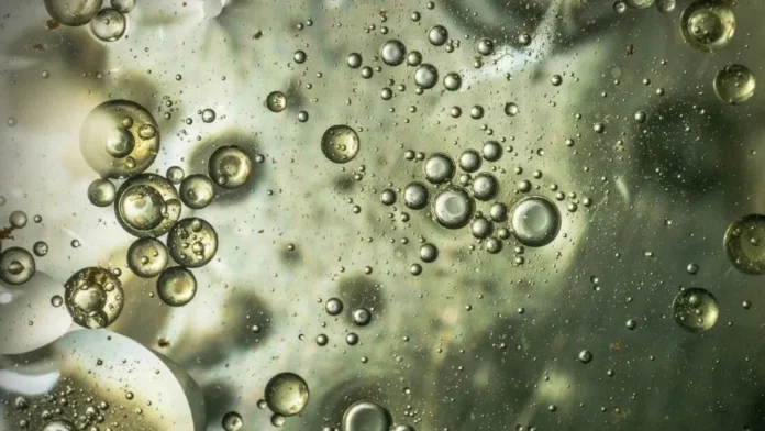 Descoberta: Como "químicas eternas" podem finalmente ser destruídas?