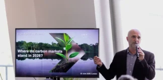 Finanças Florestais: Desafios para Capital em Escala na Amazônia Finanças Florestais: Desafios para Capital em Escala na Amazônia