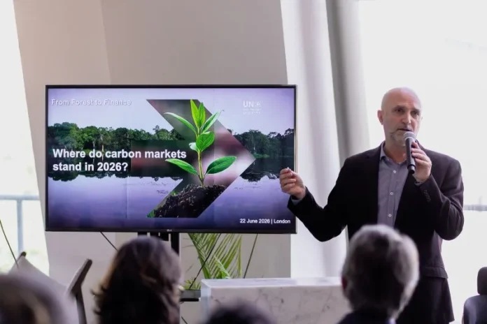 Finanças Florestais: Desafios para Capital em Escala na Amazônia
