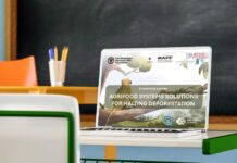 FAO e UN-REDD lançam curso para combater desmatamento global FAO e UN-REDD lançam curso para combater desmatamento global