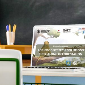 FAO e UN-REDD lançam curso para combater desmatamento global FAO e UN-REDD lançam curso para combater desmatamento global