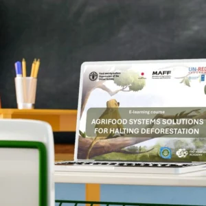 FAO e UN-REDD lançam curso para combater desmatamento global FAO e UN-REDD lançam curso para combater desmatamento global