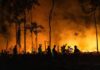 El Niño: Alerta Urgente de Incêndios na Amazônia e Ação Antecipada El Niño: Alerta Urgente de Incêndios na Amazônia e Ação Antecipada