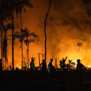 El Niño: Alerta Urgente de Incêndios na Amazônia e Ação Antecipada El Niño: Alerta Urgente de Incêndios na Amazônia e Ação Antecipada