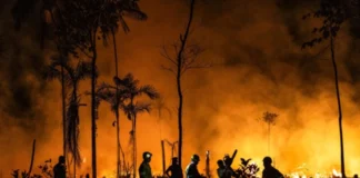 El Niño: Alerta Urgente de Incêndios na Amazônia e Ação Antecipada El Niño: Alerta Urgente de Incêndios na Amazônia e Ação Antecipada