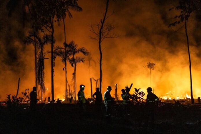 El Niño: Alerta Urgente de Incêndios na Amazônia e Ação Antecipada El Niño: Alerta Urgente de Incêndios na Amazônia e Ação Antecipada