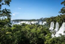 Brasil busca liderança verde: aposta em transição ecológica e inovação Brasil busca liderança verde: aposta em transição ecológica e inovação