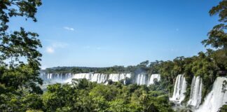 Brasil busca liderança verde: aposta em transição ecológica e inovação Brasil busca liderança verde: aposta em transição ecológica e inovação