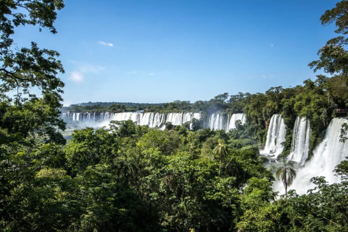 Brasil busca liderança verde: aposta em transição ecológica e inovação Brasil busca liderança verde: aposta em transição ecológica e inovação