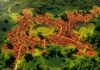 Floresta da Amazônia Esconde História Agrícola de Milhares de Anos Floresta da Amazônia Esconde História Agrícola de Milhares de Anos
