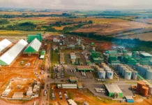 BNDES aprova R$ 96,2 milhões para ampliar usina de biodiesel no PR BNDES aprova R$ 96,2 milhões para ampliar usina de biodiesel no PR