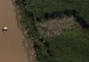 Amazônia: Estado falha em prevenção, age só após catástrofe Amazônia: Estado falha em prevenção, age só após catástrofe