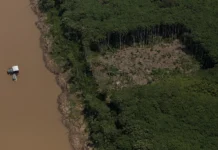Amazônia: Estado falha em prevenção, age só após catástrofe Amazônia: Estado falha em prevenção, age só após catástrofe