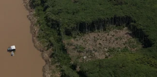Amazônia: Estado falha em prevenção, age só após catástrofe Amazônia: Estado falha em prevenção, age só após catástrofe