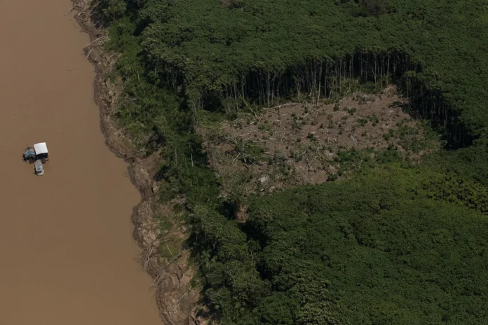 Amazônia: Estado falha em prevenção, age só após catástrofe Amazônia: Estado falha em prevenção, age só após catástrofe