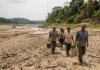 Europa enfrenta seca severa agravada pelo calor e ameaça Amazônia Europa enfrenta seca severa agravada pelo calor e ameaça Amazônia