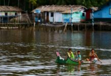 Fundo Ecos da Amazônia Legal libera R$ 3,3 milhões para projetos comunitários Fundo Ecos da Amazônia Legal libera R$ 3,3 milhões para projetos comunitários