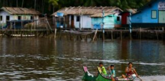 Fundo Ecos da Amazônia Legal libera R$ 3,3 milhões para projetos comunitários Fundo Ecos da Amazônia Legal libera R$ 3,3 milhões para projetos comunitários