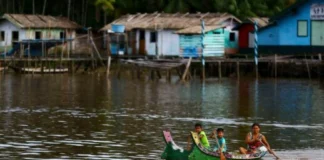 Fundo Ecos da Amazônia Legal libera R$ 3,3 milhões para projetos comunitários Fundo Ecos da Amazônia Legal libera R$ 3,3 milhões para projetos comunitários