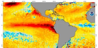 El Niño atinge força recorde em julho e ameaça evento histórico El Niño atinge força recorde em julho e ameaça evento histórico
