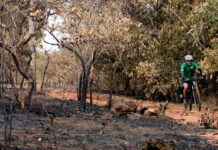 TransCerrado: Pesquisadores Pedalam 300 km Contra Crise Climática TransCerrado: Pesquisadores Pedalam 300 km Contra Crise Climática