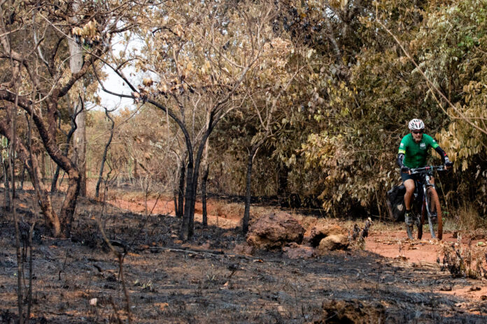 TransCerrado: Pesquisadores Pedalam 300 km Contra Crise Climática