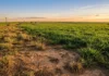 Acre planeja recuperar 14 mil hectares degradados até 2030 Acre planeja recuperar 14 mil hectares degradados até 2030
