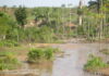 Terceira Natureza: Rota para prosperidade amazônica pós-desmate Terceira Natureza: Rota para prosperidade amazônica pós-desmate