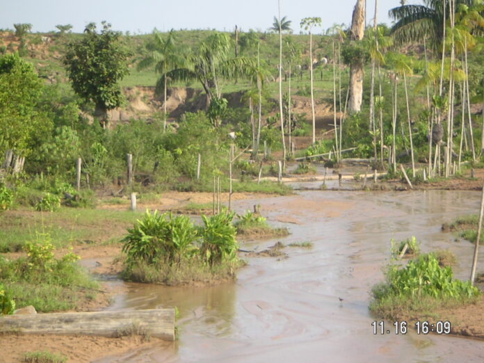 Terceira Natureza: Rota para prosperidade amazônica pós-desmate Terceira Natureza: Rota para prosperidade amazônica pós-desmate