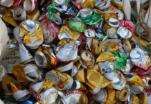 Economia circular: 4 em cada 10 buscam mais conhecimento no Brasil Economia circular: 4 em cada 10 buscam mais conhecimento no Brasil