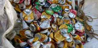 Economia circular: 4 em cada 10 buscam mais conhecimento no Brasil Economia circular: 4 em cada 10 buscam mais conhecimento no Brasil