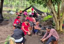 Mulheres da Amazônia Lideram Luta Contra Crise Climática e Fome Mulheres da Amazônia Lideram Luta Contra Crise Climática e Fome