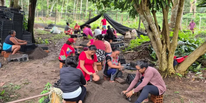 Mulheres da Amazônia Lideram Luta Contra Crise Climática e Fome