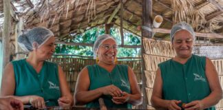 Biocosméticos amazônicos unem ciência e saber tradicional no Pará Biocosméticos amazônicos unem ciência e saber tradicional no Pará
