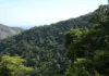 Plano Ecológico do Brasil Mobiliza R$ 500 Bi em 2025 Plano Ecológico do Brasil Mobiliza R$ 500 Bi em 2025